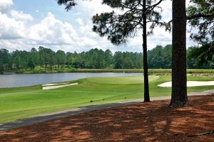 CC Of NC (Dogwood) 4th Green